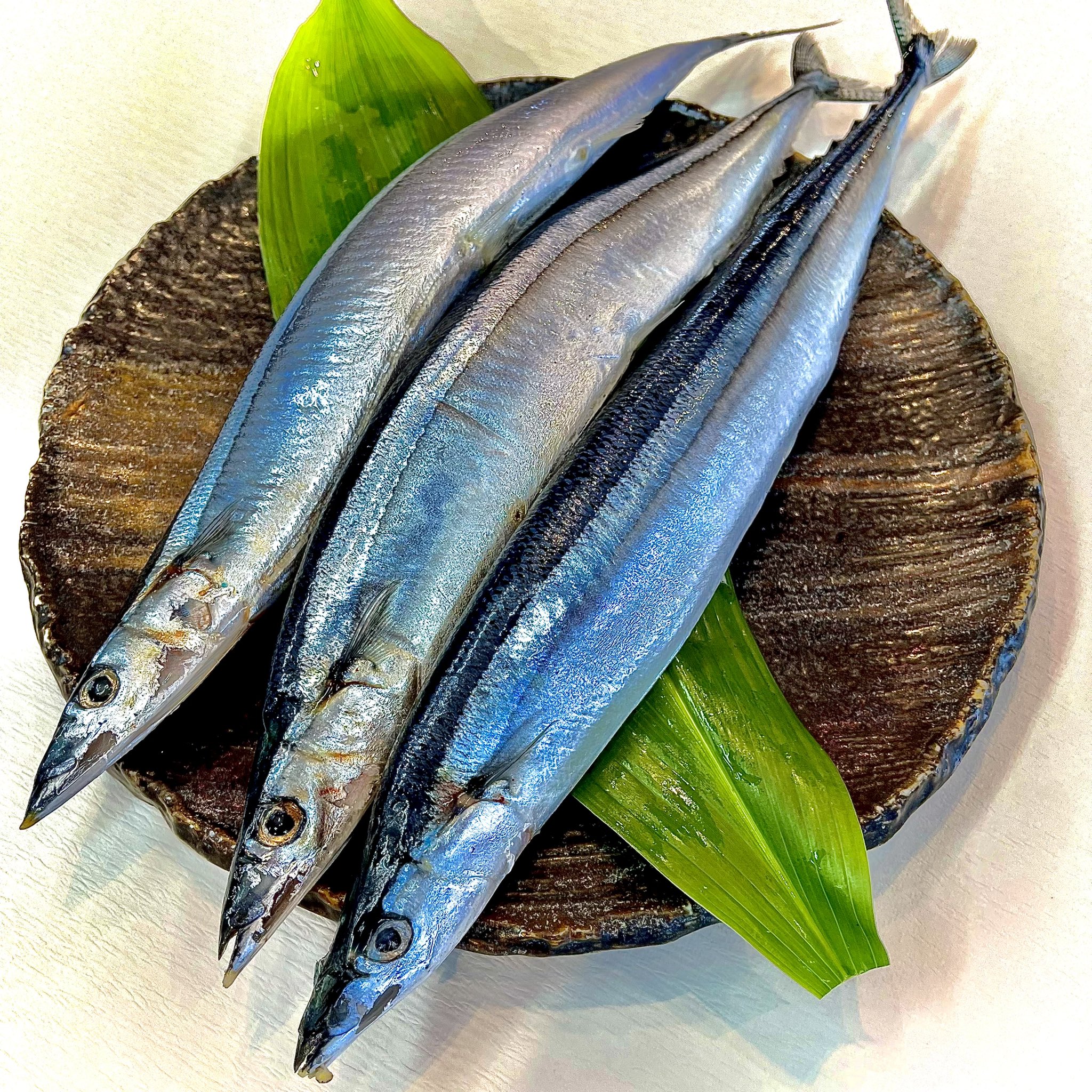 تويتر 産直市場海道 奈良 على تويتر 大きくて美味しい 旬の塩秋刀魚が入りましたよ 大根たっぷりで食べるのがおすすめ お好みですだちをちょろっと垂らすのもgood まだまだ暑い日が続いています 水分をしっかりとって 美味しいお魚を食べて今日も元気に