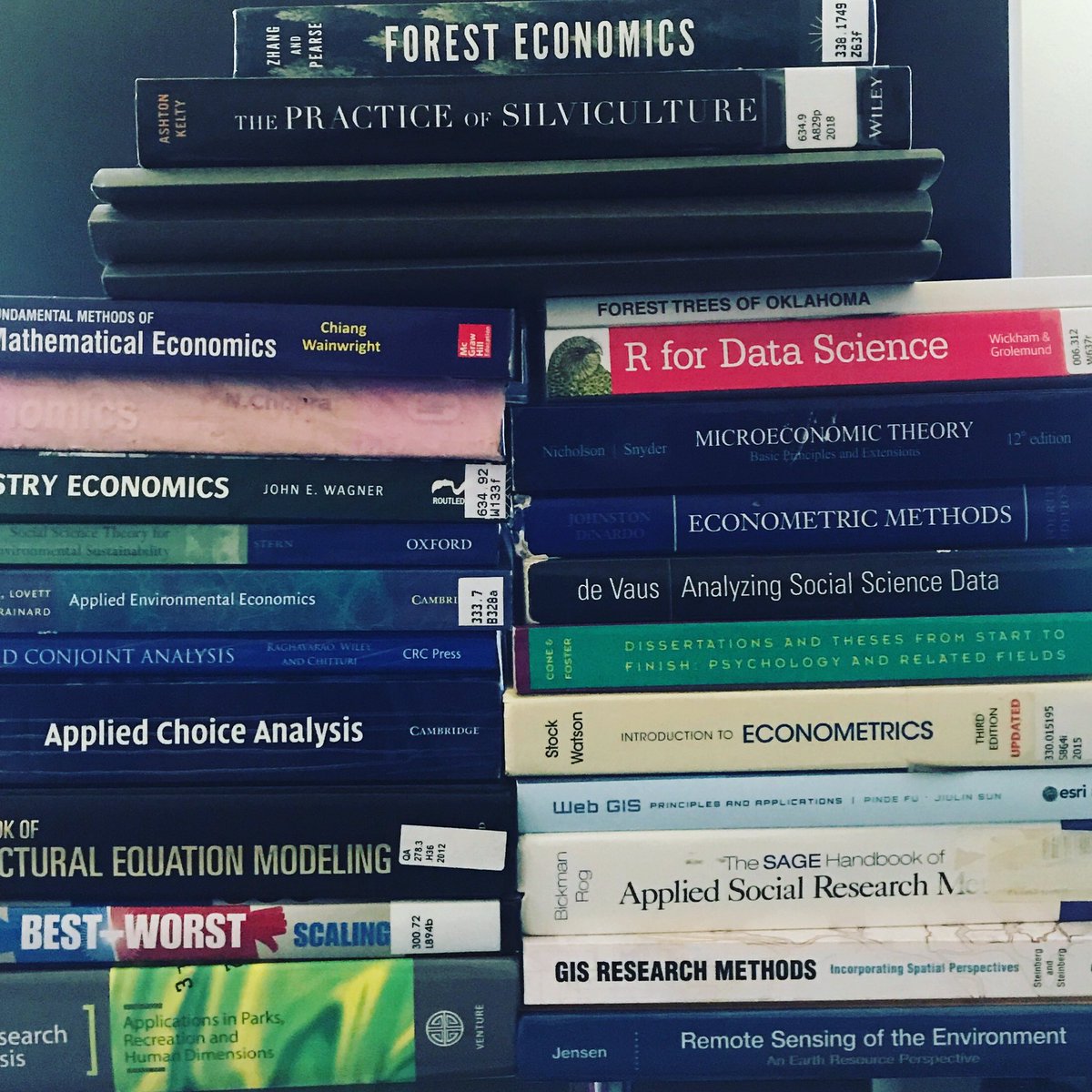 bijubjs's tweet photo. Which books did you use or do you use to gain knowledge for the work that you do? Here is my listI used during my PhD. Please post yours in the thread. #EconChat #AgEcon #EconTwitter #phdlife https://t.co/AtR2x37IU0