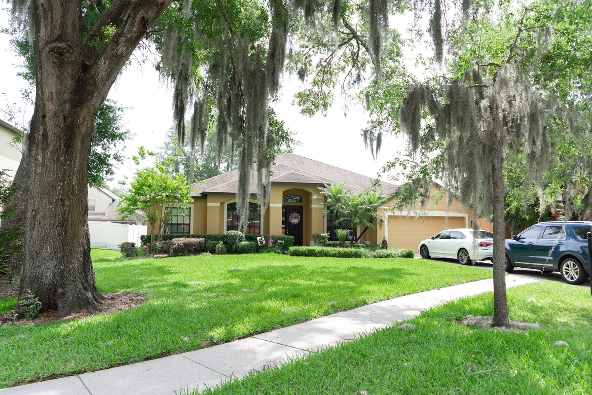 Every day is beautiful in #tampabay! Are you ready for your lawn to look like these? Visit this link to request an estimate: plantitearthflorida.com/request-estima…