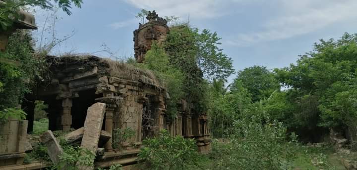 Saigeet36566874's tweet photo. The next uzhavarappani by Annamalaiyar Arapani Kuzhu will be at Sri Soundararaja Perumal Koil, Kadichambadi (near Kumbakonam) on 04 Sept 2022.  Bus to start at Tambaram opp to Hindu Mission Hospital on 3rd Sept 9.00 pm. Plan to return to Chennai on 5th Sept.  @pollaavinayen https://t.co/k1ObCb2Wws