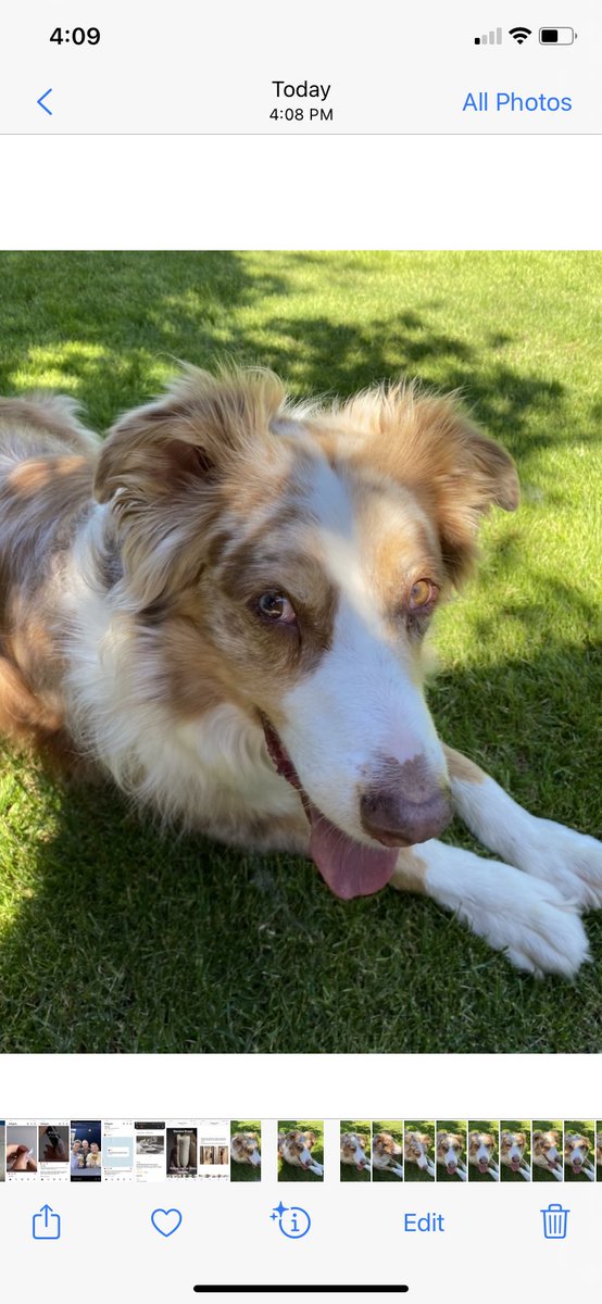 Chris Patterson tweet media