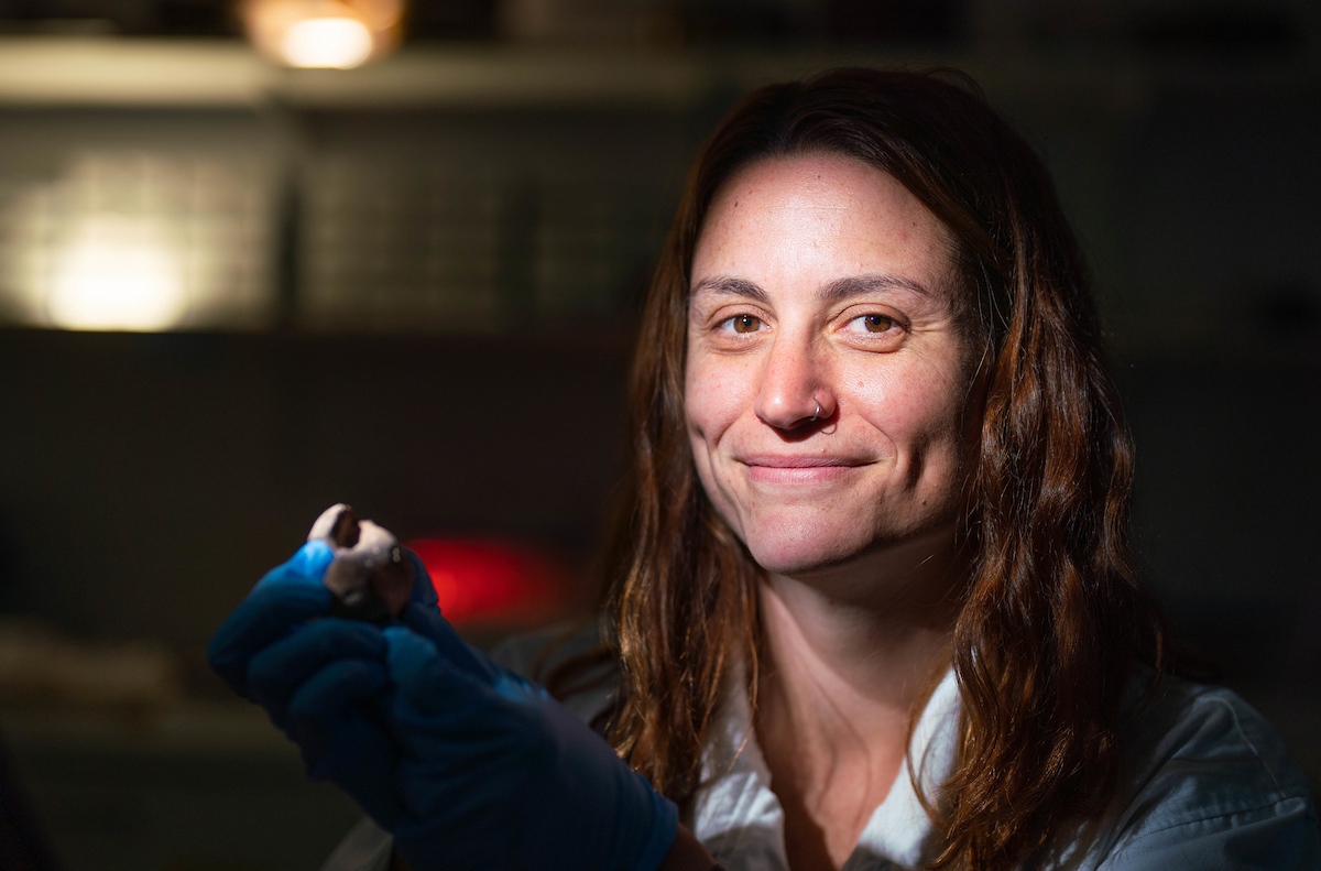 What do three bodies from between 7,500 to 12,000 years ago have in common? ANU researcher @SofiaSamperCarr has uncovered their links to the earliest humans in island Southeast Asia. 📖Story and link to her research here: asiapacific.anu.edu.au/news-events/al…