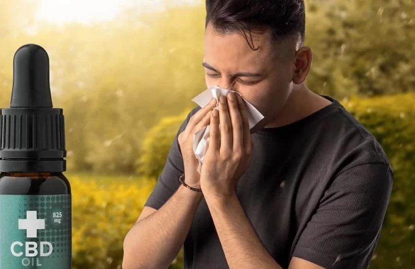 CbDissimo's tweet image. CBD et Allergies ! 😷
Le CBD est (encore une fois) une nouvelle piste pour soulager et diminuer nombre de manifestations allergiques.
🧐Toutes les infos et études sur le sujet dans cet article de la CBD Thèque. #CBD #allergies #cannabidiol #cbdissimo
👉cbdissimo.com/allergies-cbd/