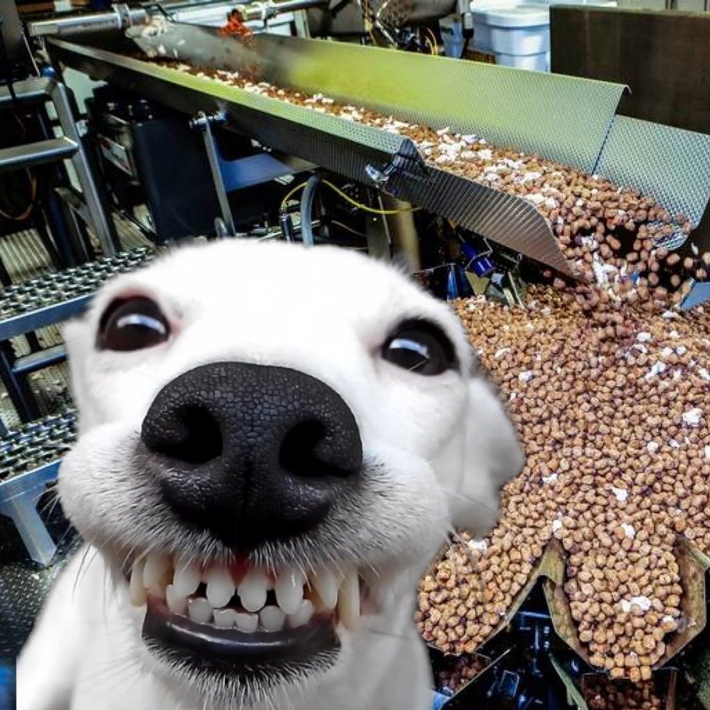 dogsvacay's tweet photo. A trip to the dog treat factory in Kansas City! https://t.co/zNet3Lfbqu