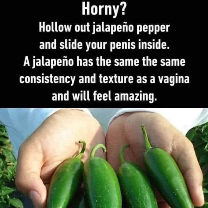 Claire J Cheeseman tweet media