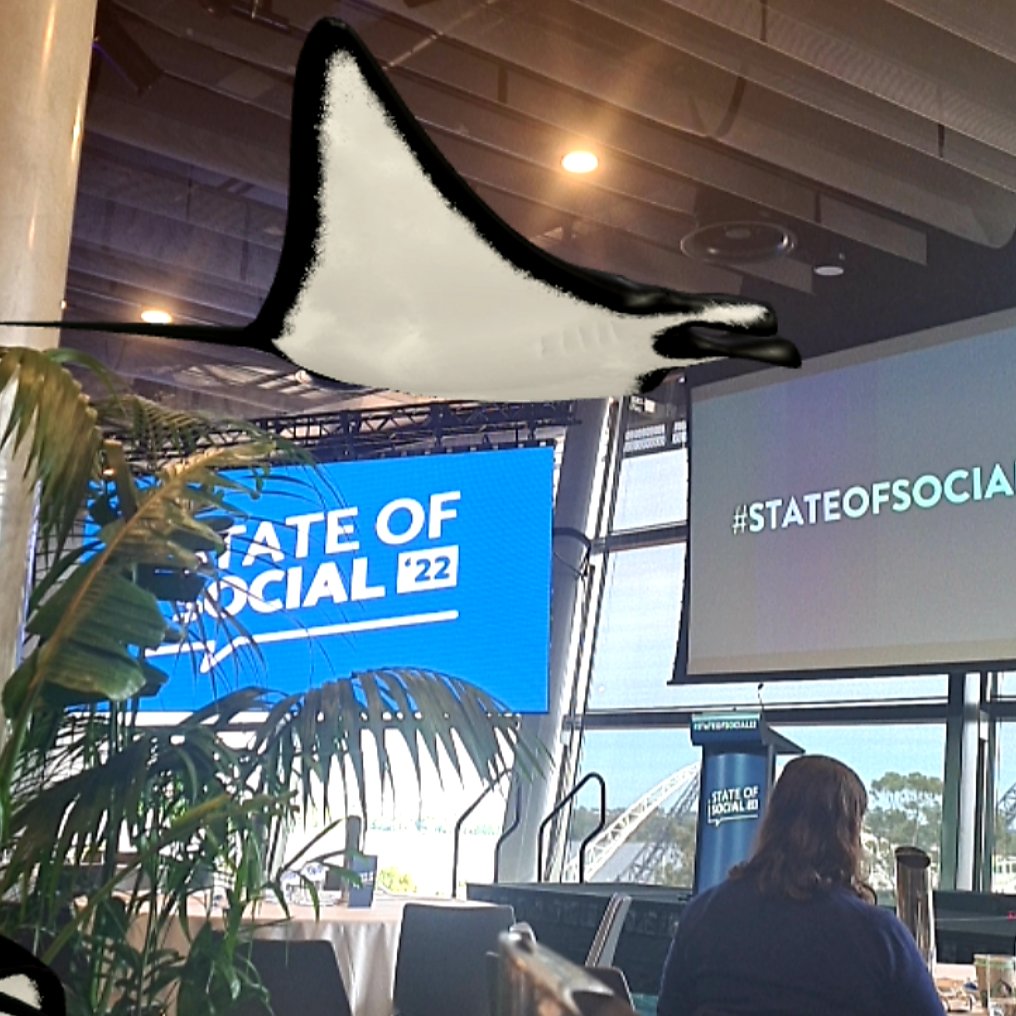 mechrocklette's tweet photo. Taking some time out at @state_of_social with this mental health manta ray courtesy of #EyeJackWebAR #StateofSocial22 https://t.co/Lxw2uuKChS