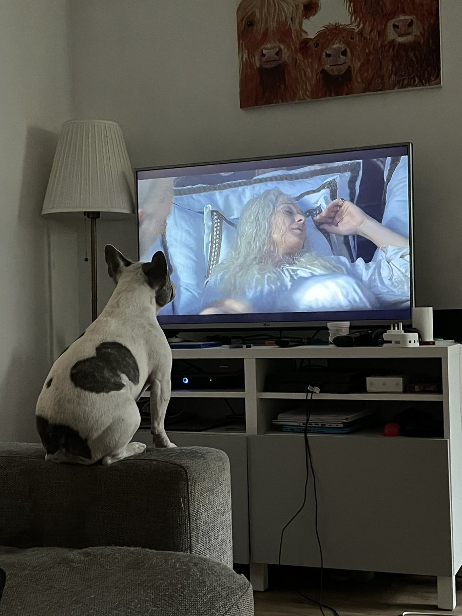 GemsOfMayfair's tweet photo. @HouseofDragon you have furry fans already https://t.co/qDnxE0t0t8