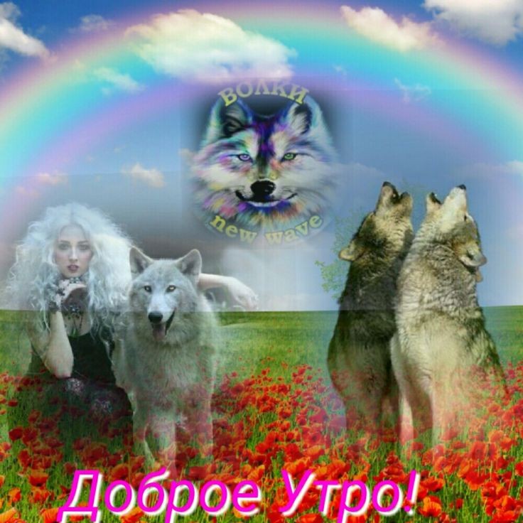 <a href="/AlbedoNot/">Soft! Not Albedo /ушел</a>