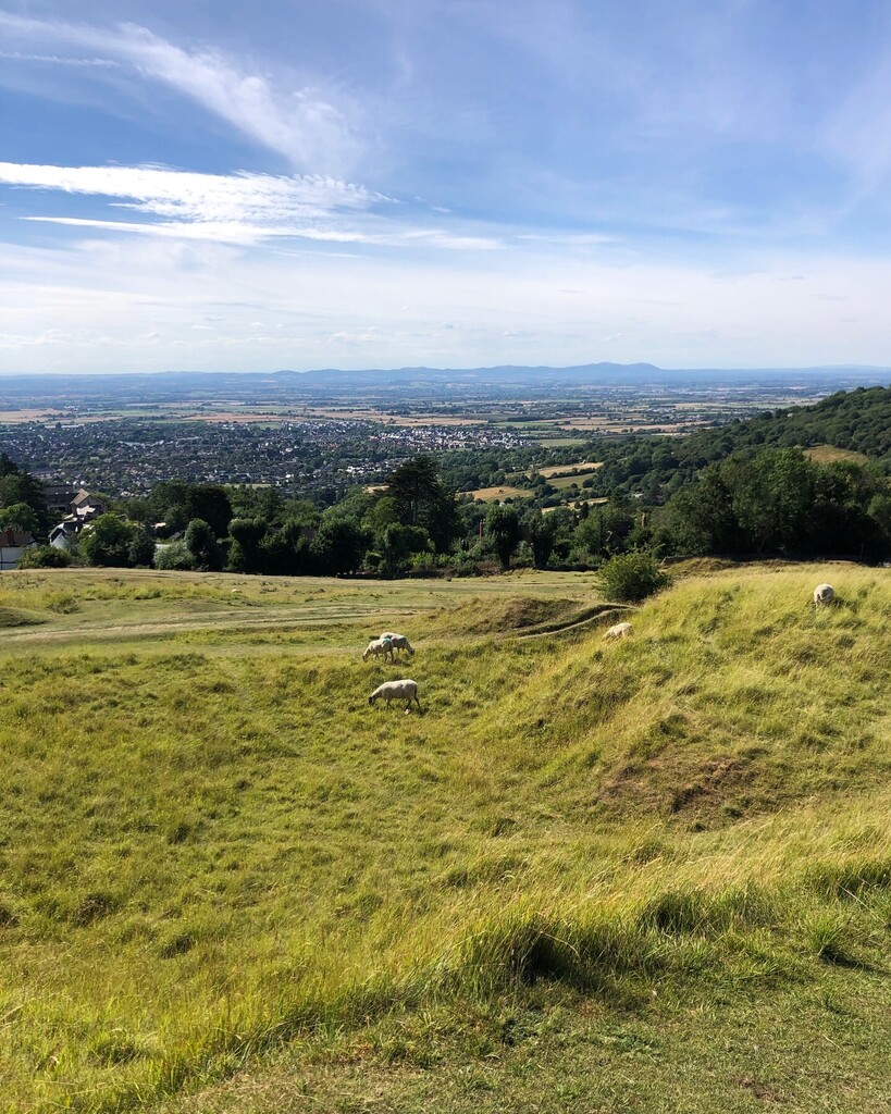 Splodz's tweet photo. It is said that everywhere is within walking distance if you have the time...
Can I have more time, please?!
#OneHourOutside #GetOutside #OutsideEveryday #SheExplores #OptOutside #AdventureStories #EverydayAdventure #CleeveCommon #CleeveHill #HillView https://t.co/C1nBQlbp6B https://t.co/qCHGuJyXen