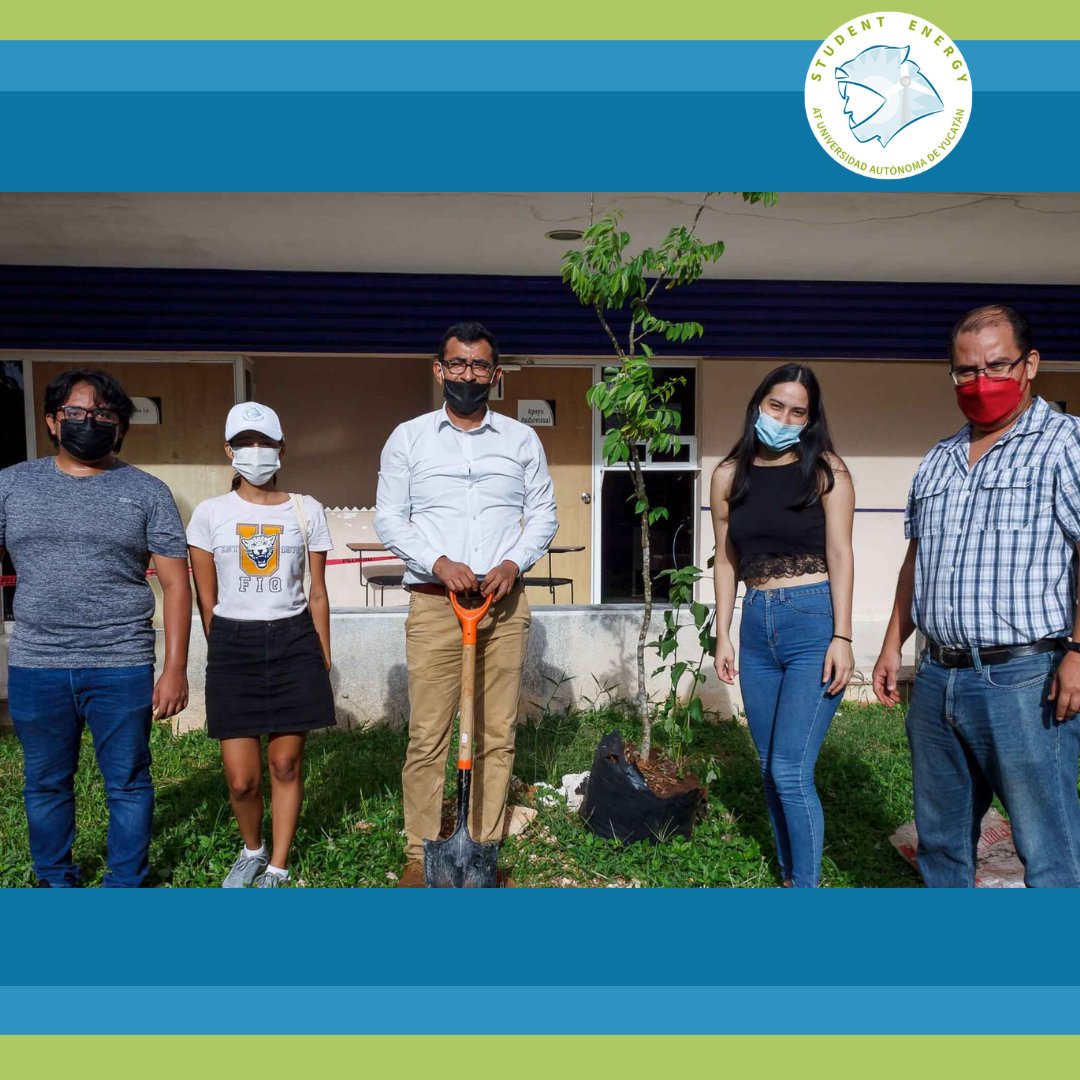 SEatUADY's tweet photo. El pasado viernes 19 de agosto apoyamos en la reforestación de las áreas verdes en la Facultad de Ingeniería Química 🌳

Como parte del plan de gestión ambiental de la Facultad se sembraron especies endémicas como Flor de Mayo, Balché, Chacté, Kanjabín, entre otras 🌱

Gracias⚡ https://t.co/ZeFSybXJPi