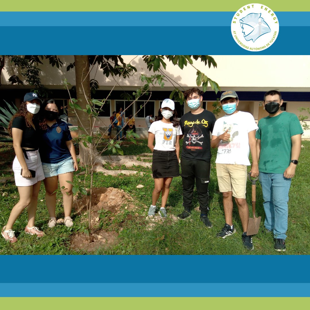 SEatUADY's tweet photo. El pasado viernes 19 de agosto apoyamos en la reforestación de las áreas verdes en la Facultad de Ingeniería Química 🌳

Como parte del plan de gestión ambiental de la Facultad se sembraron especies endémicas como Flor de Mayo, Balché, Chacté, Kanjabín, entre otras 🌱

Gracias⚡ https://t.co/ZeFSybXJPi