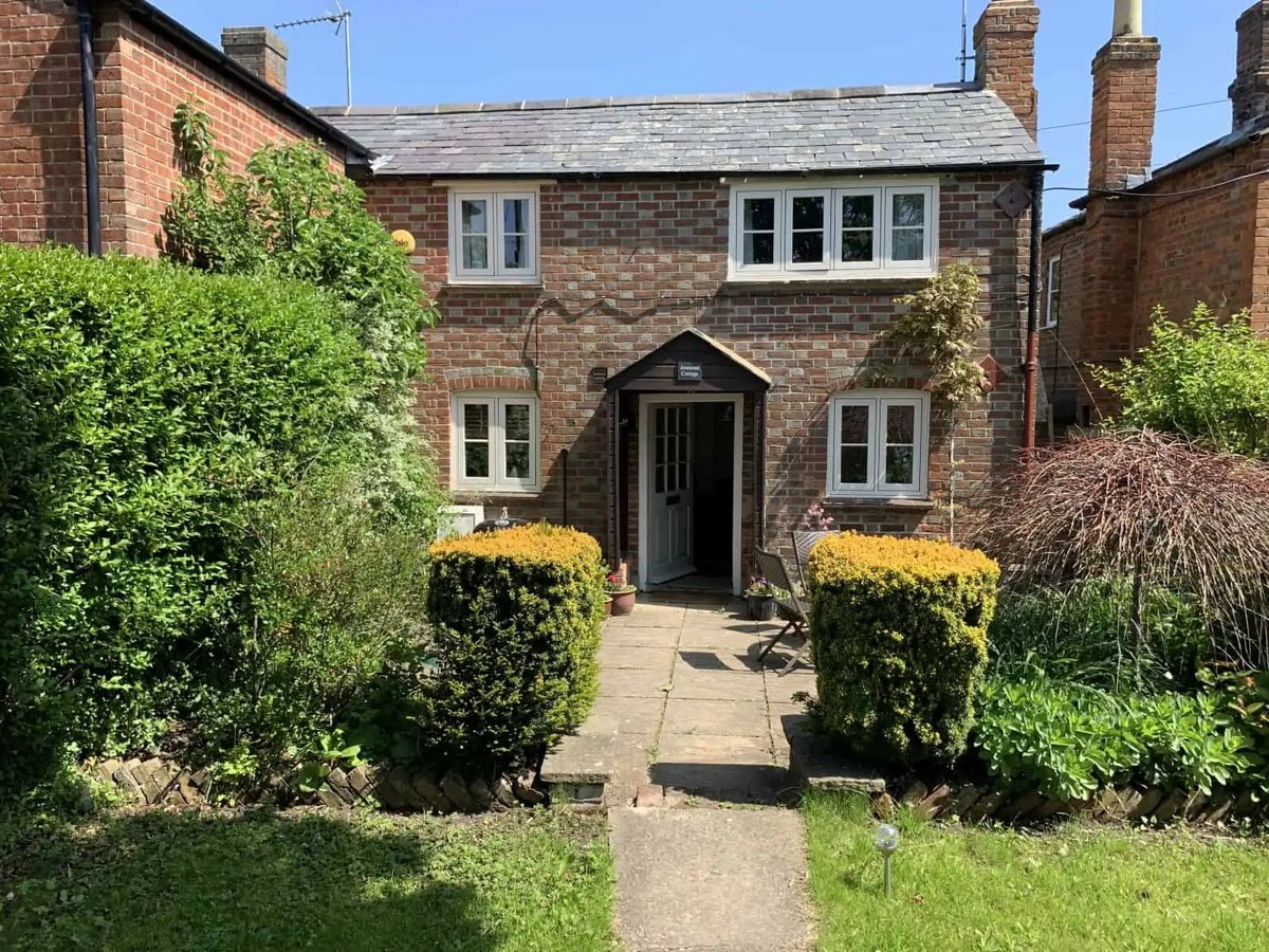 NatureBathing tweet media