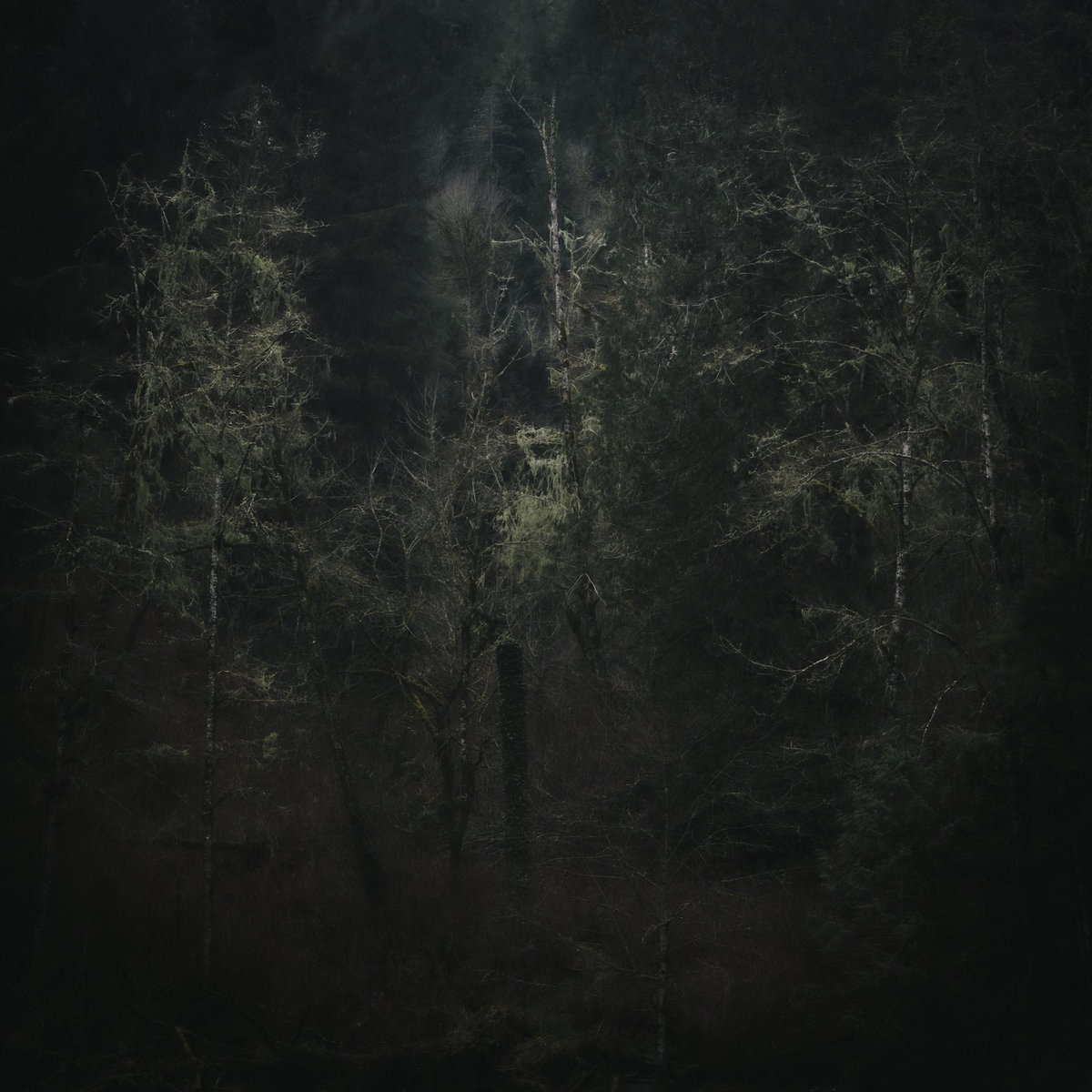 H_C's tweet photo. Here I've got a delectable selection of music to share with you on this Tuesday morning, featuring Rafael Anton Irisarri (@blackknoll), @LumenetteMusic (@hammockmusic), and Steve Fors (@NothingButStill)
https://t.co/JuxX2NUl0c https://t.co/HBInxm7Bsd