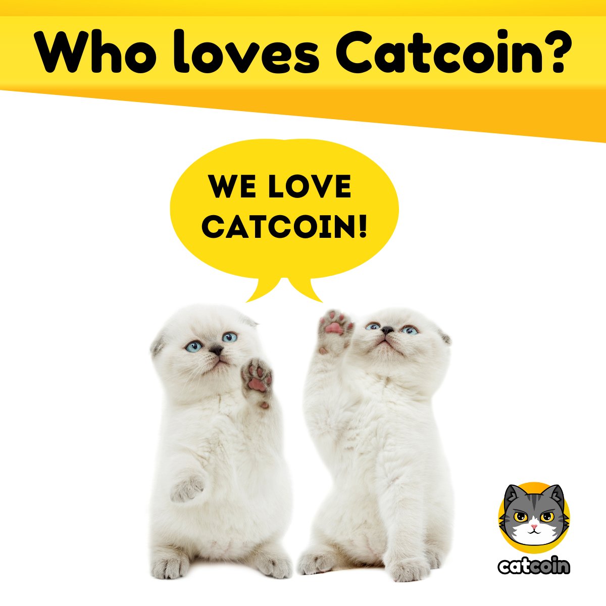 FreeCatcoin's tweet photo. Cats love #Catcoin. #catsofcrypto https://t.co/VSrenvMKBH