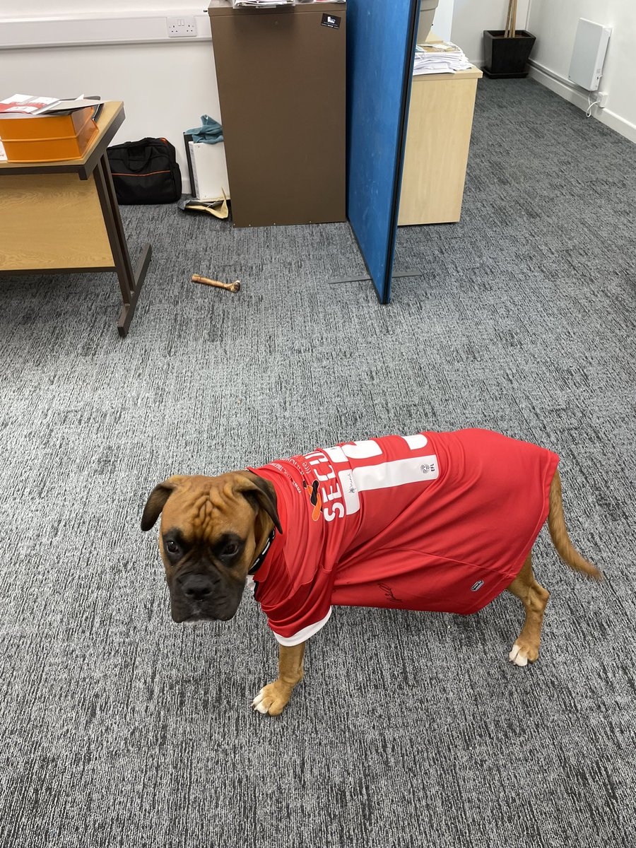PeterFrake's tweet photo. Good morning all, competition time. While we are watching @crawleytown play @FulhamFC tonight who’s watching your home or business? #secure15 #fireandsecurity tag @InnovationFS logo in a photo during match lucky photo will win a ring door bell https://t.co/7cPmrJF1BV
