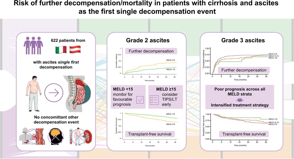 JHEP_Reports's tweet photo. Severity of #ascites
➡️associated with mortality
In patients with moderate ascites
➡️widely used prognostic #MELDScore can predict patient outcomes
🔓#OpenAccess at👉https://t.co/8jnNbCboEI
@balcar_lorenz
@salvatore_piano
@ReibergerThomas
#LiverTwitter https://t.co/ypNHiFInQ1