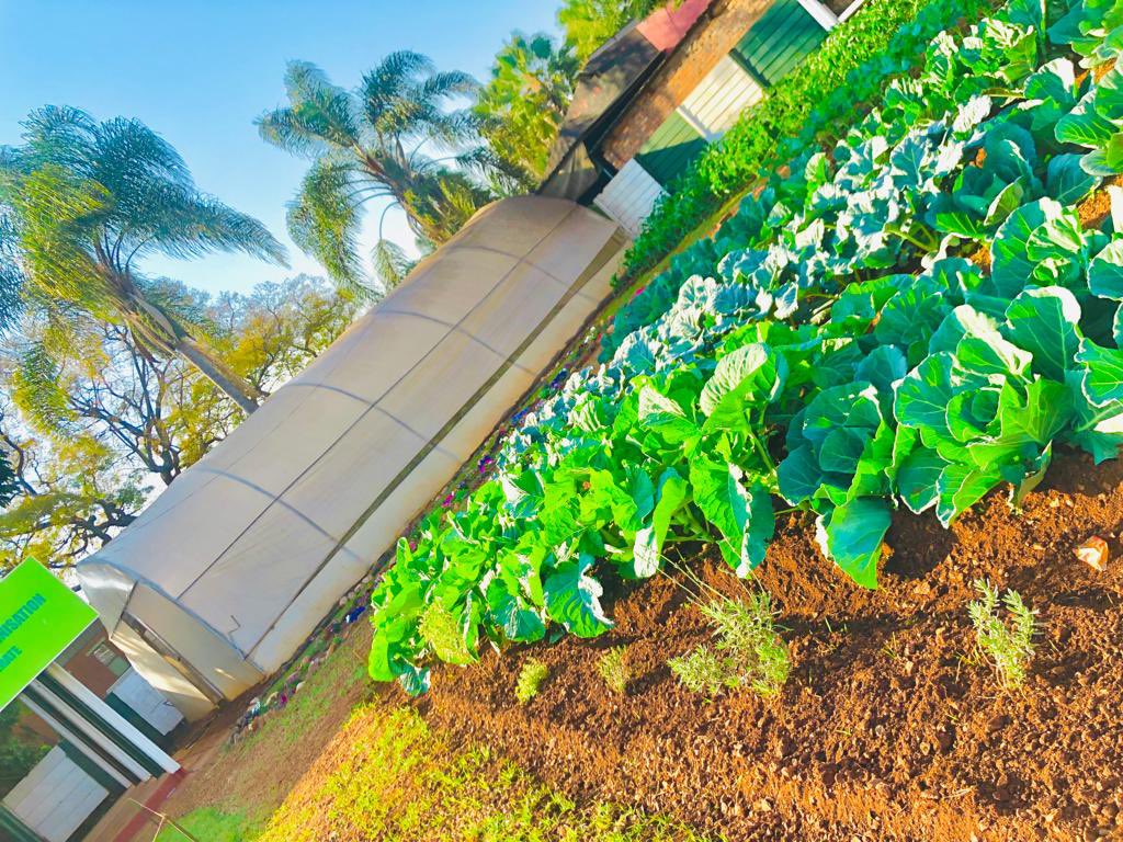 zimagricsociety's tweet photo. As the days draw closer to the 112th edition of the Zimbabwe Agricultural Show, have you secured your stand? The ZAS is eager to assist you find the exhibition space that fits your exhibition need. @Zimra_11 @DairibordLtd @K2 @AgriseedsZim @IPECZW @MoLAFWRD_Zim @SahwiraWemurimi https://t.co/5W74aHycr8