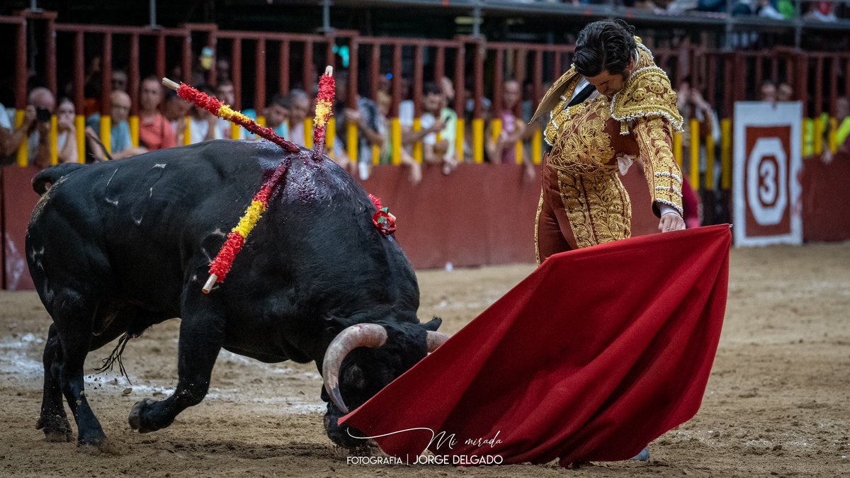 Mi Mirada 🇪🇸 🇺🇦 (@mi_mirade) on Twitter photo 