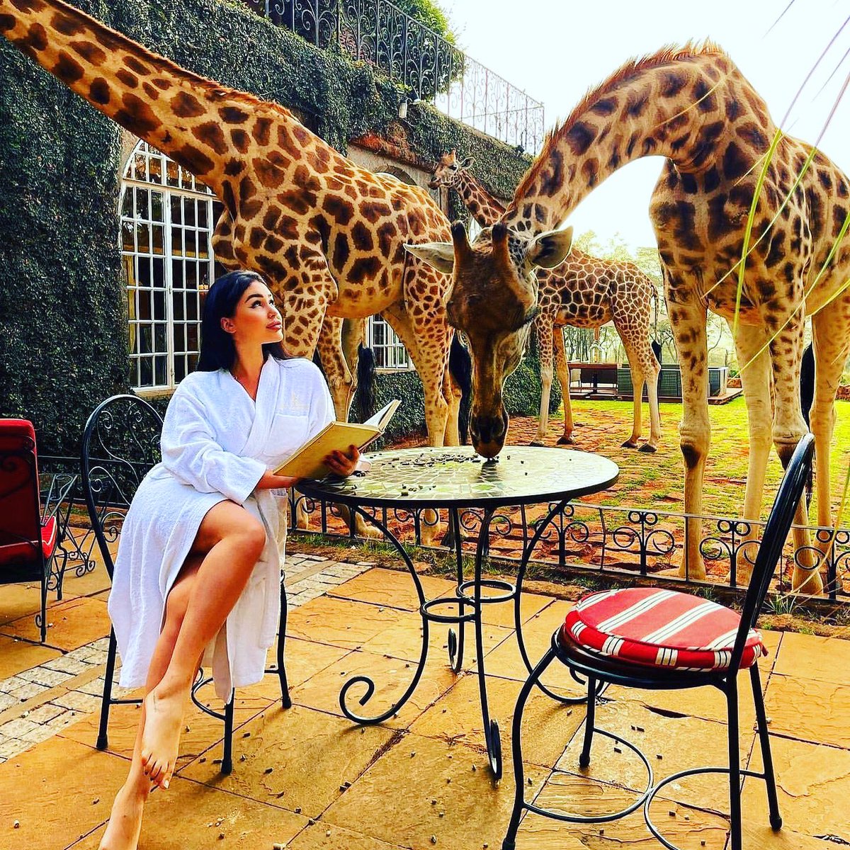 paultoursafari's tweet photo. Extraordinary adventures await. Make your next escape even more special with our limited-time Signature Exclusives.

Dm us for bookings 
#nakedplanet #adventure #yourshotphotographer #earthcapture #bbctravel #lovetheworld #honeymoon #beautifuldestinations #luxury #wonderfulplaces https://t.co/gQM992iACI