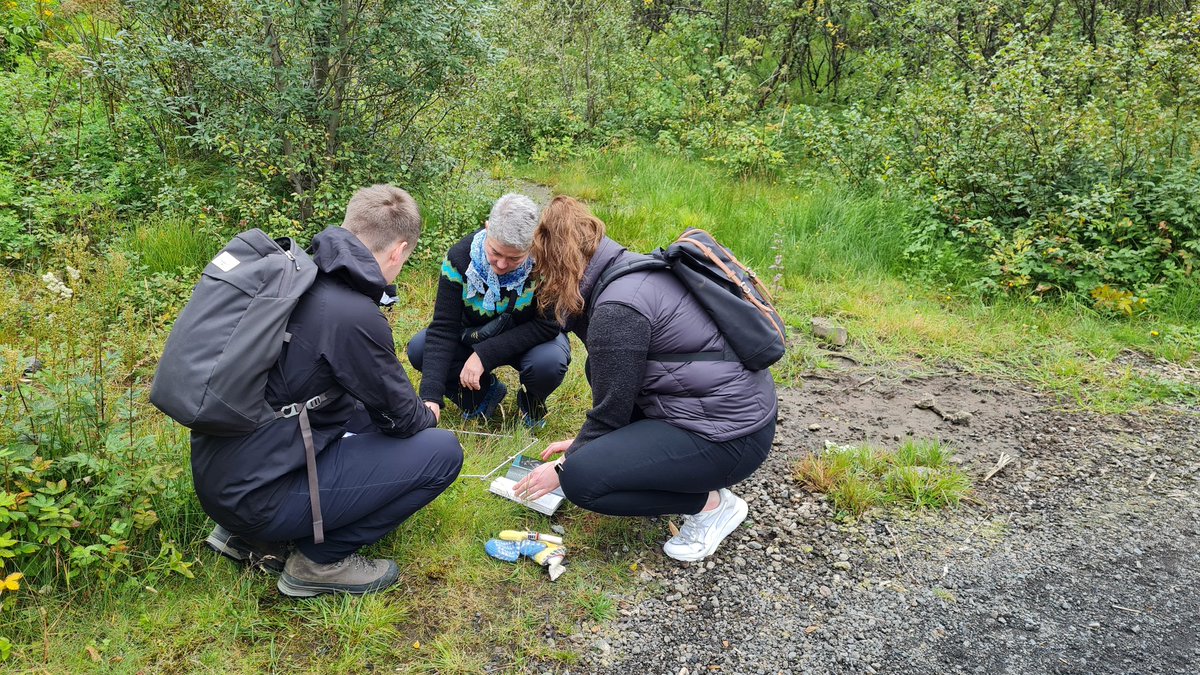 Önnin byrjar af krafti hjá nemendum Menntavísindasviðs HÍ í fyrri staðlotu annarinnar. Þá hittum við alla nemendur, bæði stað- og fjarnema. Við líffræðikennarar nýtum þá tímann í vettvangsferðir. Hér eru nemar að kanna gróðursamfélög í Elliðaárdalnum @Haskoli_Islands