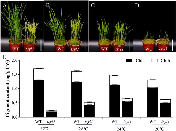 Journal of Plant Physiology tweet media