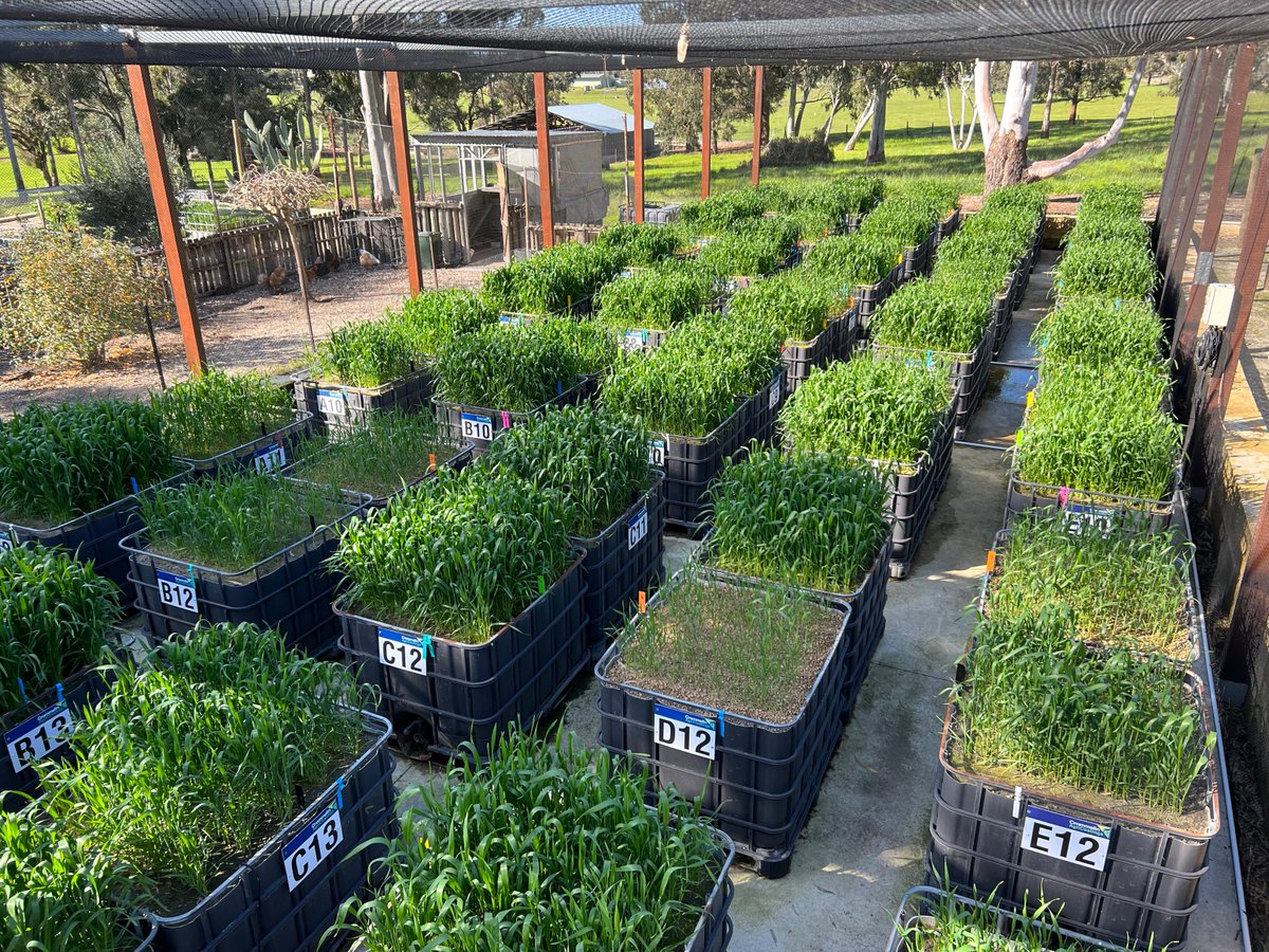 Carbon Ag Solutions tweet media