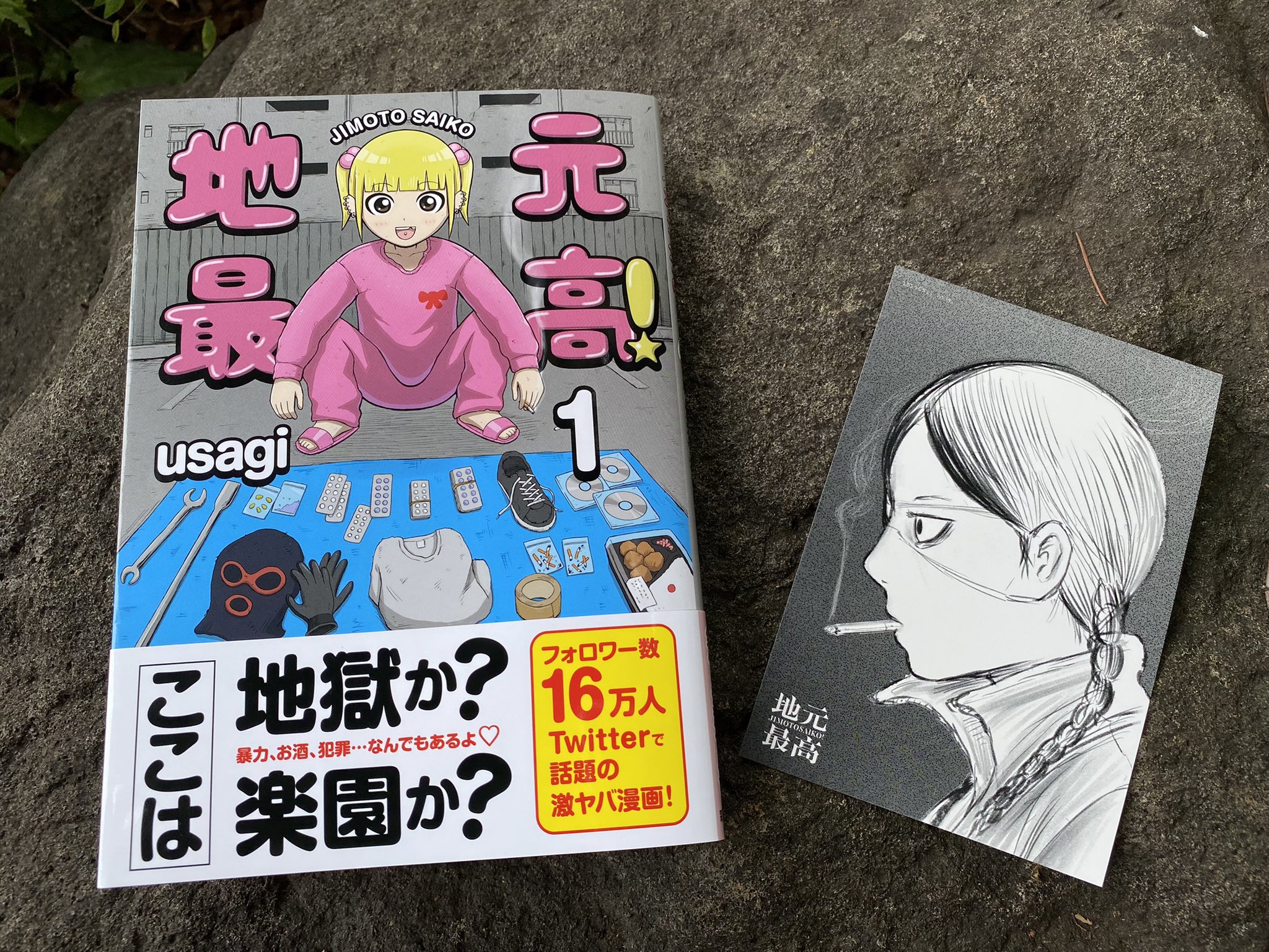 【300部限定希少】 2013年 資料性博覧会ポスターブック panpanya panpanya 資料性博覧会 ポスターブック