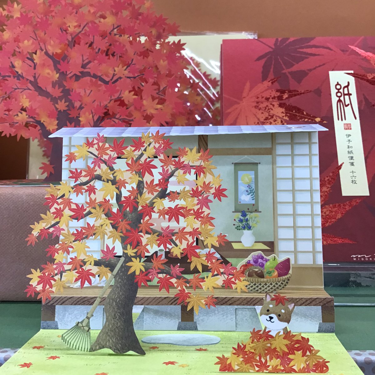 soho_wm's tweet photo. SOHOに秋が近づいて来ました〜🍂
テーマは「夏の余韻と秋の香り」
秋カード続々入荷してます🍁
是非お越しくださいませ‼️

 #文房具  #姪浜  #ウエストコート  #秋  #紅葉   #秋カード https://t.co/snZ25WBl4b