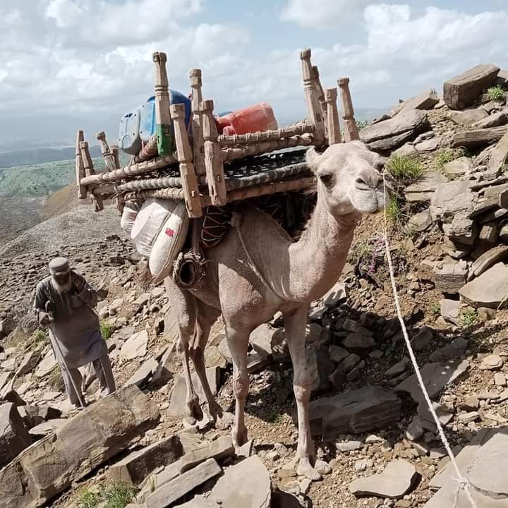 UmerEngnr's tweet photo. پنجاب اور بلوچستان کے غرباء کی معیشت کا دارومدار جانوروں پہ ہوتا ہے لیکن افسوس سیلابی ریلوں میں سب کچھ تباہ و برباد ہو گیا ہے لوگ نقل مکانی پہ مجبورہو گئے ہیں
@NiazZimri @SdqJaan @KismatZimri https://t.co/DmFlY4Sc1n