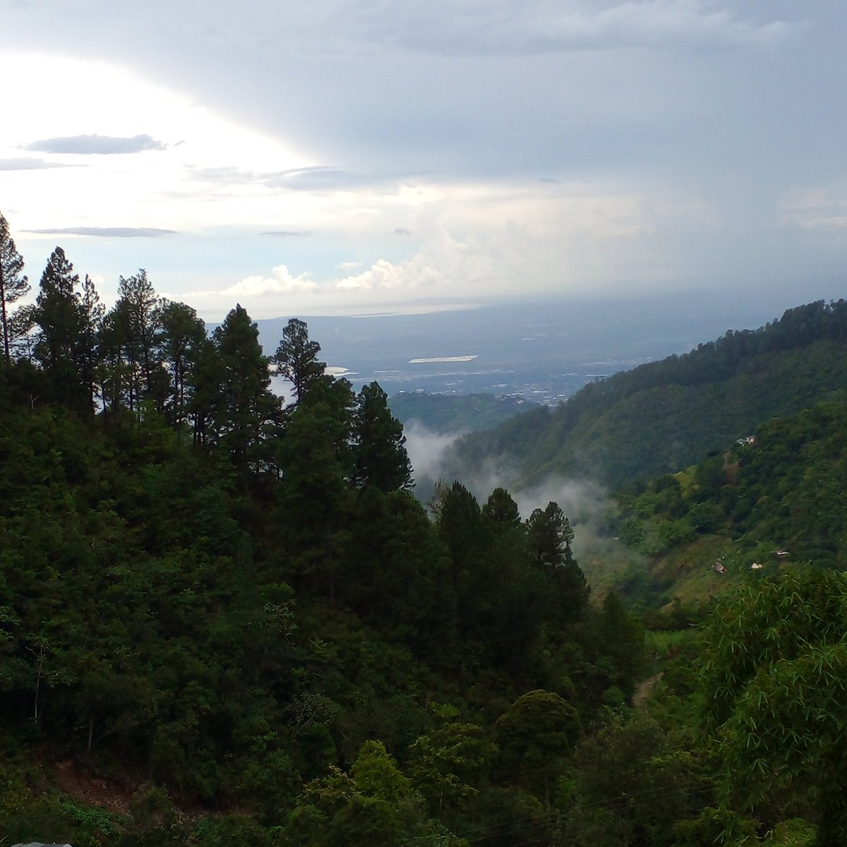 Blue mountain ja