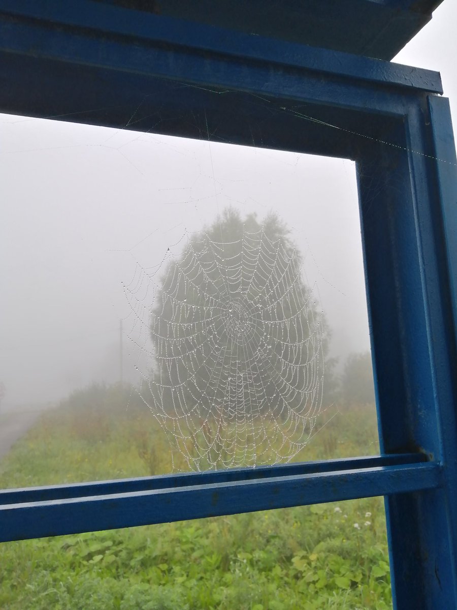 Я должна этим поделиться