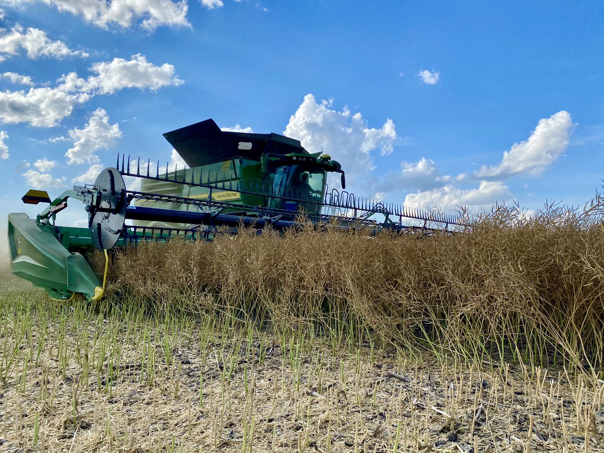 Cameron Hildebrand tweet media