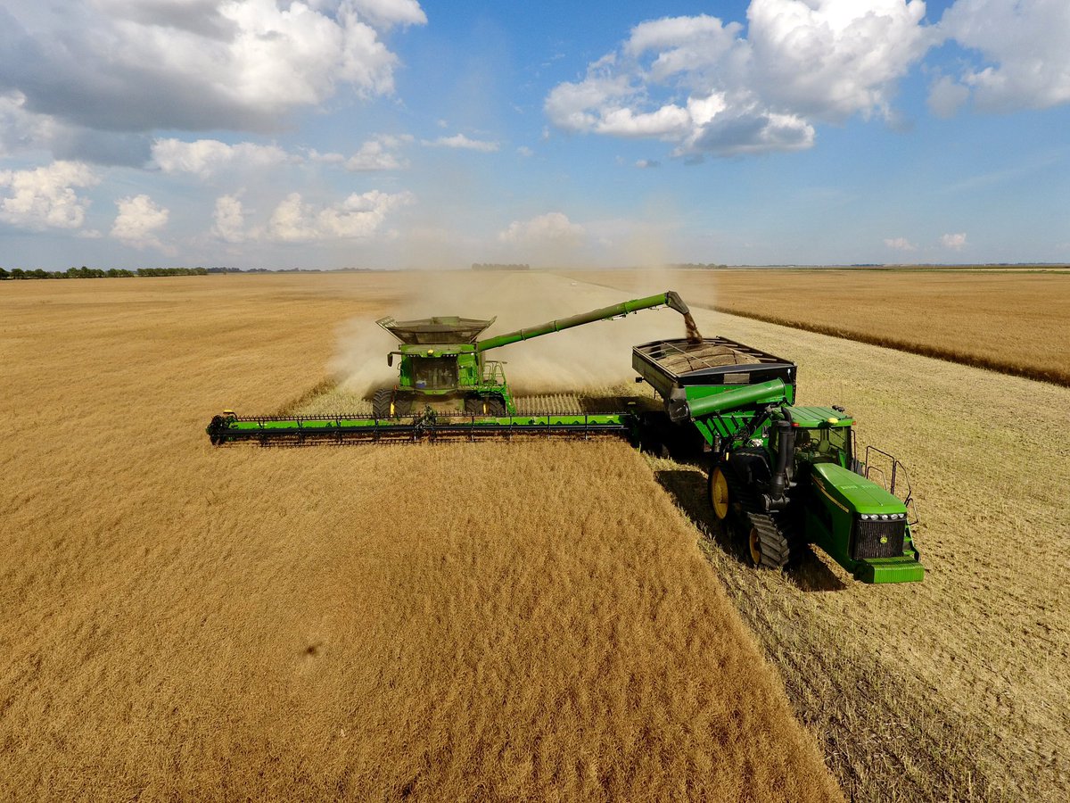 Cameron Hildebrand tweet media