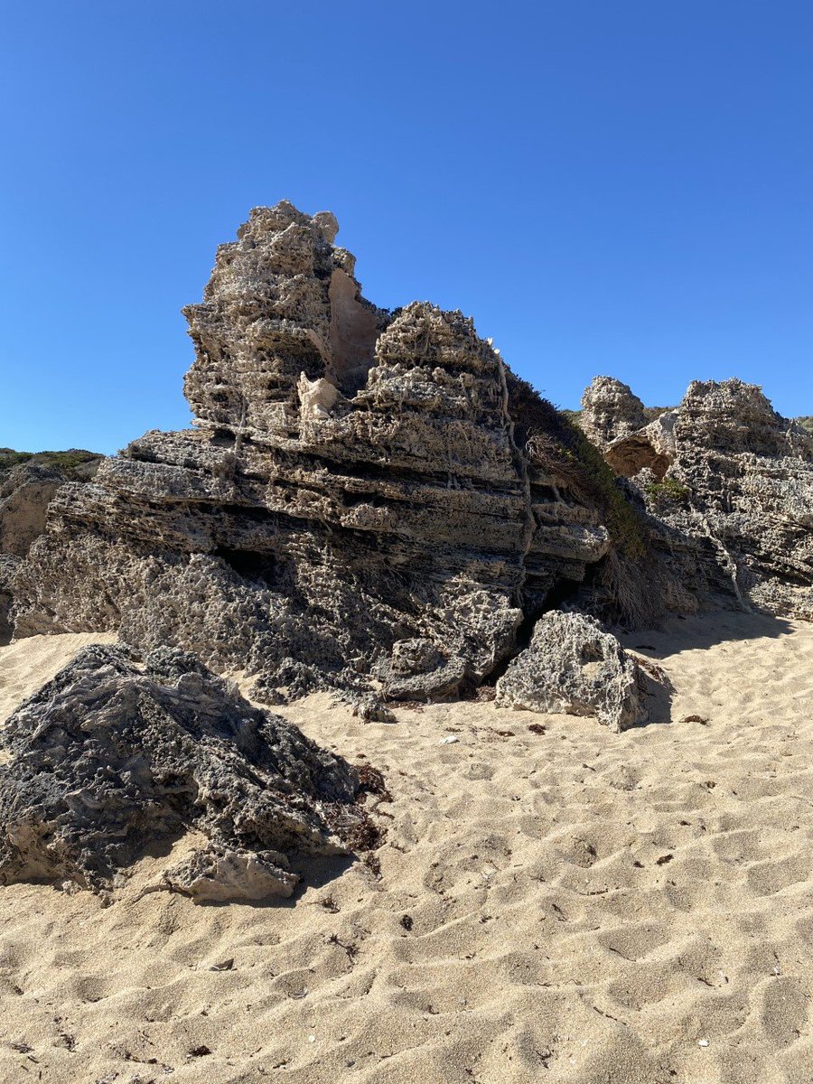 Australian Regolith Geoscientists Alliance tweet media