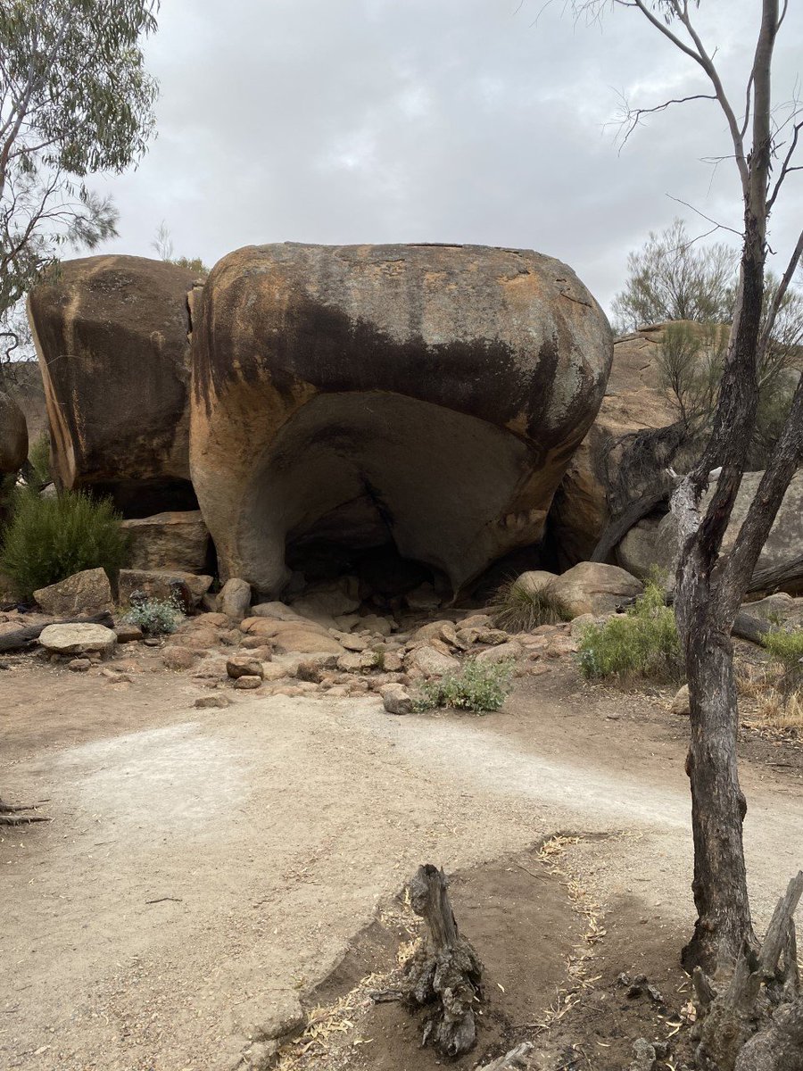Australian Regolith Geoscientists Alliance tweet media