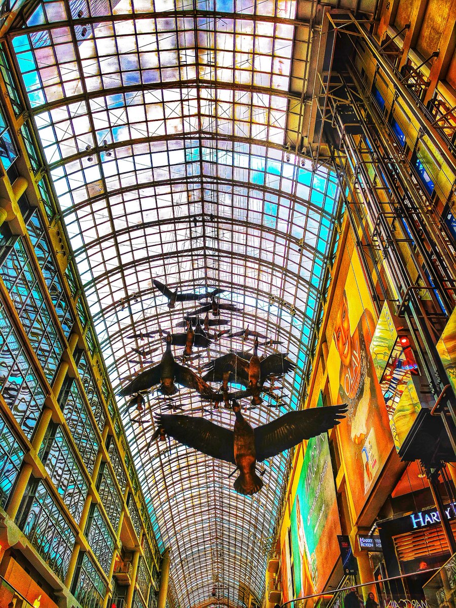 TMOS_ARC's tweet photo. Flying through glass ceilings. 
Photo taken at: Eaton Centre, Toronto #TMOSScienceWeek https://t.co/Z1YrnosGsH
