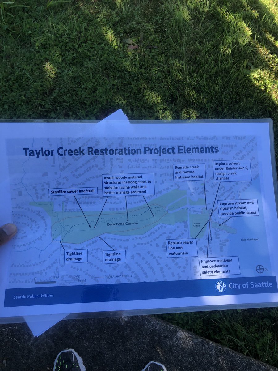 RBAC_Raphael's tweet photo. Got invited to the Taylor Creek Restoration Project site walk today here is a recap of the walk

#RainierBeach #LakeWashington 

https://t.co/UTA82114Mt https://t.co/6gHF79XlGg