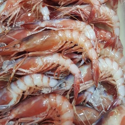 PascualDelma's tweet photo. #NuevaFotoDePerfil https://t.co/Tky7Guk1Xz