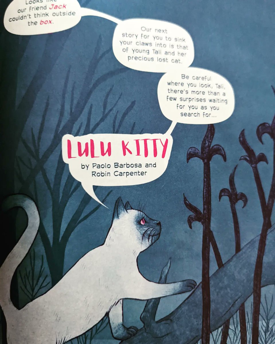 Paolo B. tweet media