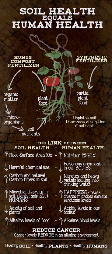 Ishanam2's tweet photo. SERIOUS HEALTH EFFECTS ON HUMANS – Human health can be affected in various manners by soil pollution. As we know whatever we humans eat comes from the soil #SaveSoil @cpsavesoil @SadhguruJV @UNCCD https://t.co/ugqpp9JoOK