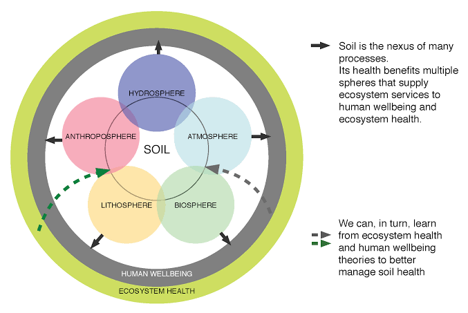 Ishanam2's tweet photo. SERIOUS HEALTH EFFECTS ON HUMANS – Human health can be affected in various manners by soil pollution. As we know whatever we humans eat comes from the soil #SaveSoil @cpsavesoil @SadhguruJV @UNCCD https://t.co/ugqpp9JoOK