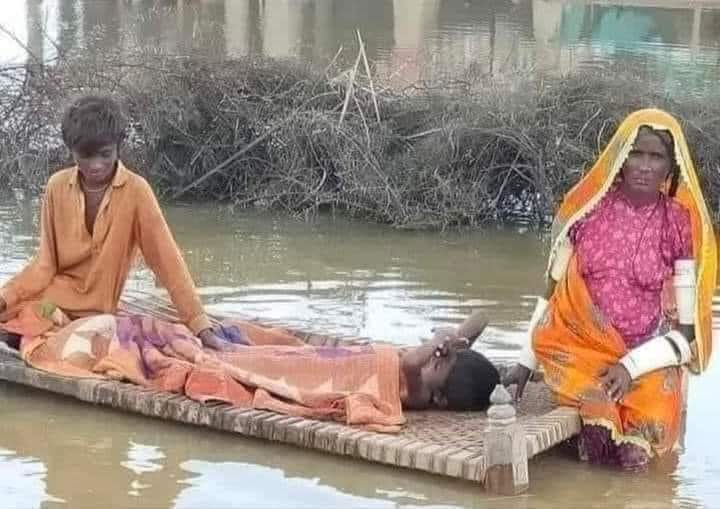 nmemon2004's tweet photo. سندھ میں سیلاب کی تباہی اور انسانی المیے کے وہ مناظر جو بینائی سے محروم خودساختہ قومی میڈیا پر نشر نہ ہو سکے کیوں کہ ان میں کراچی کا ابلتا ہوا گٹر اور پانی میں رکا ہوا رکشا شامل نہیں تھے. اس تعفن زدہ تعصبی میڈیا کو جب حکمرانوں کے جوتے پڑتے ہیں تو انہیں انسانی حقوق یاد آجاتے ہیں https://t.co/npo8S3loSn