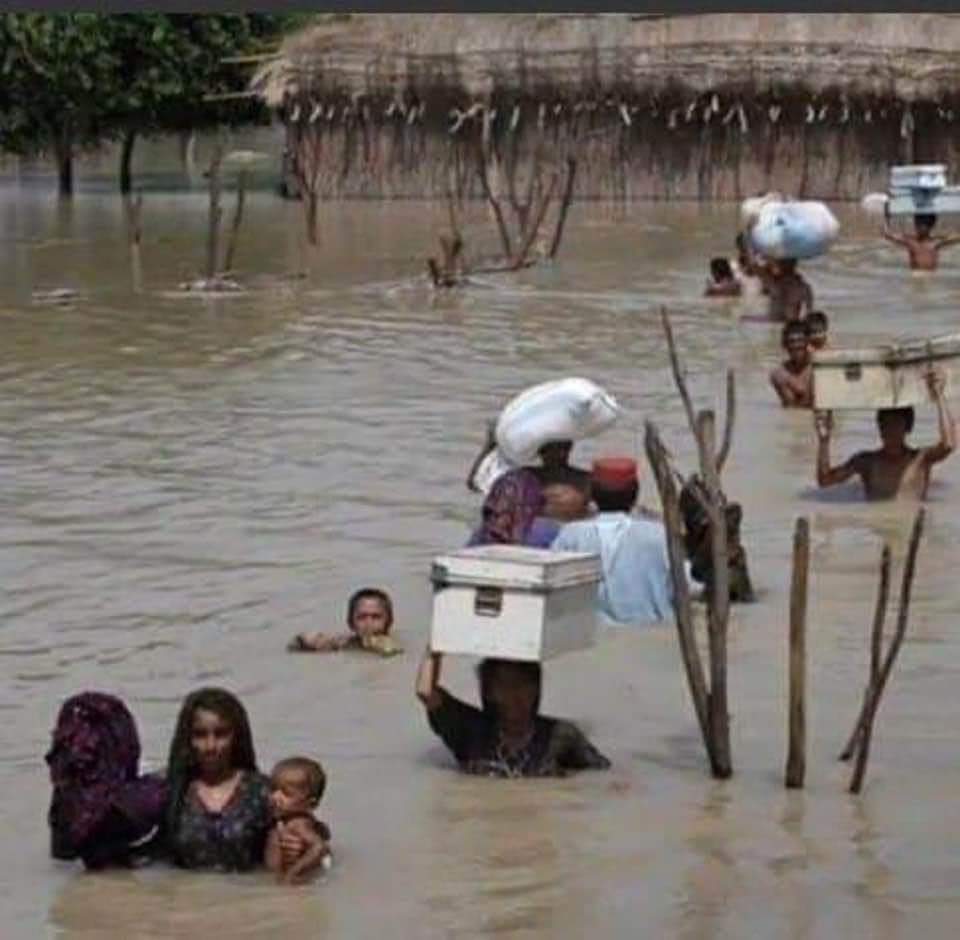 nmemon2004's tweet photo. سندھ میں سیلاب کی تباہی اور انسانی المیے کے وہ مناظر جو بینائی سے محروم خودساختہ قومی میڈیا پر نشر نہ ہو سکے کیوں کہ ان میں کراچی کا ابلتا ہوا گٹر اور پانی میں رکا ہوا رکشا شامل نہیں تھے. اس تعفن زدہ تعصبی میڈیا کو جب حکمرانوں کے جوتے پڑتے ہیں تو انہیں انسانی حقوق یاد آجاتے ہیں https://t.co/npo8S3loSn