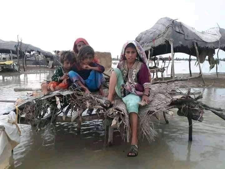 nmemon2004's tweet photo. سندھ میں سیلاب کی تباہی اور انسانی المیے کے وہ مناظر جو بینائی سے محروم خودساختہ قومی میڈیا پر نشر نہ ہو سکے کیوں کہ ان میں کراچی کا ابلتا ہوا گٹر اور پانی میں رکا ہوا رکشا شامل نہیں تھے. اس تعفن زدہ تعصبی میڈیا کو جب حکمرانوں کے جوتے پڑتے ہیں تو انہیں انسانی حقوق یاد آجاتے ہیں https://t.co/npo8S3loSn