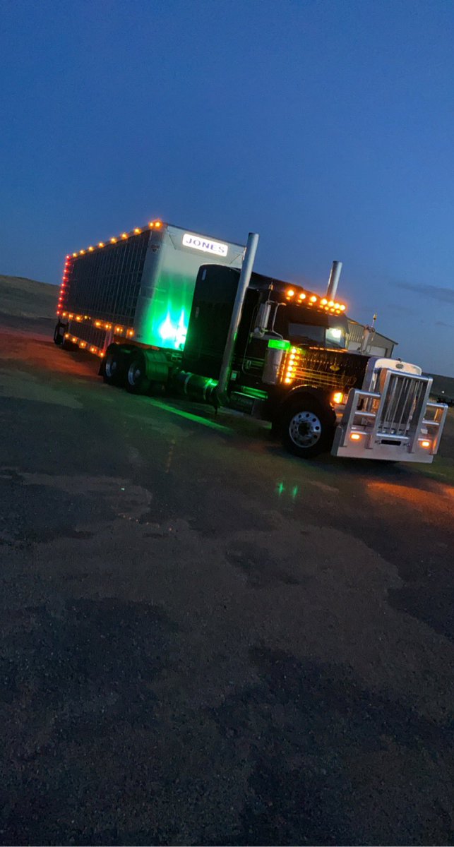 Cameron Mizner tweet media