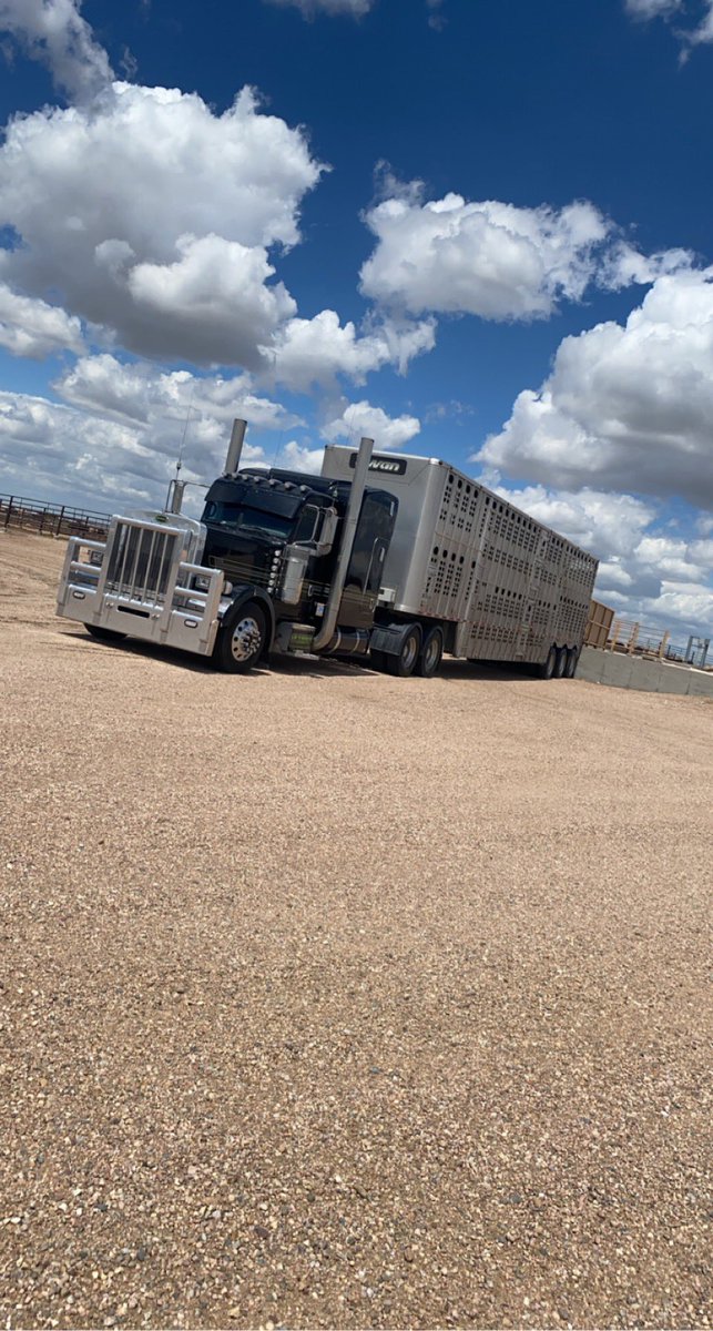 Cameron Mizner tweet media