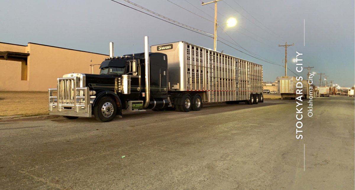 Cameron Mizner tweet media