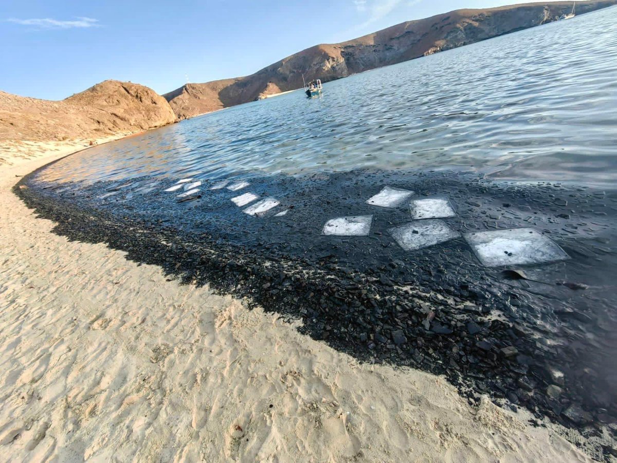 Carlos G. Ibarra tweet media