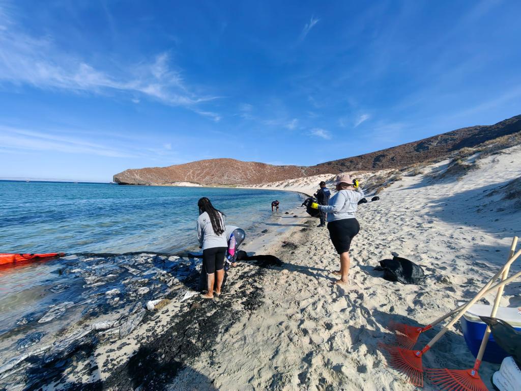 Carlos G. Ibarra tweet media