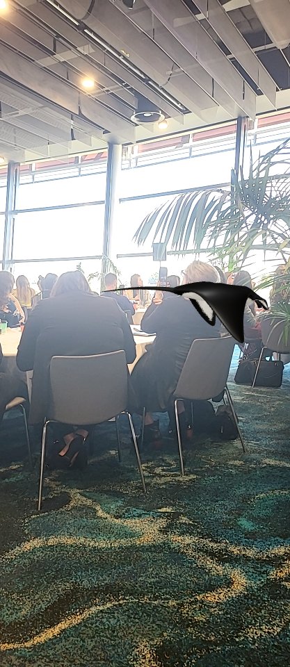 freocookster's tweet photo. Mental Health Manta Ray's at @state_of_social #eyejackwebAR #stateofsocial22 https://t.co/UPIIo114Vx